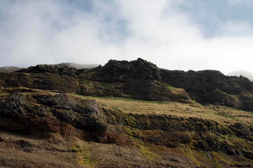 * Image 135