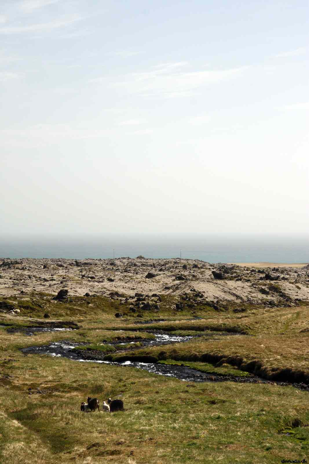 * Image 65