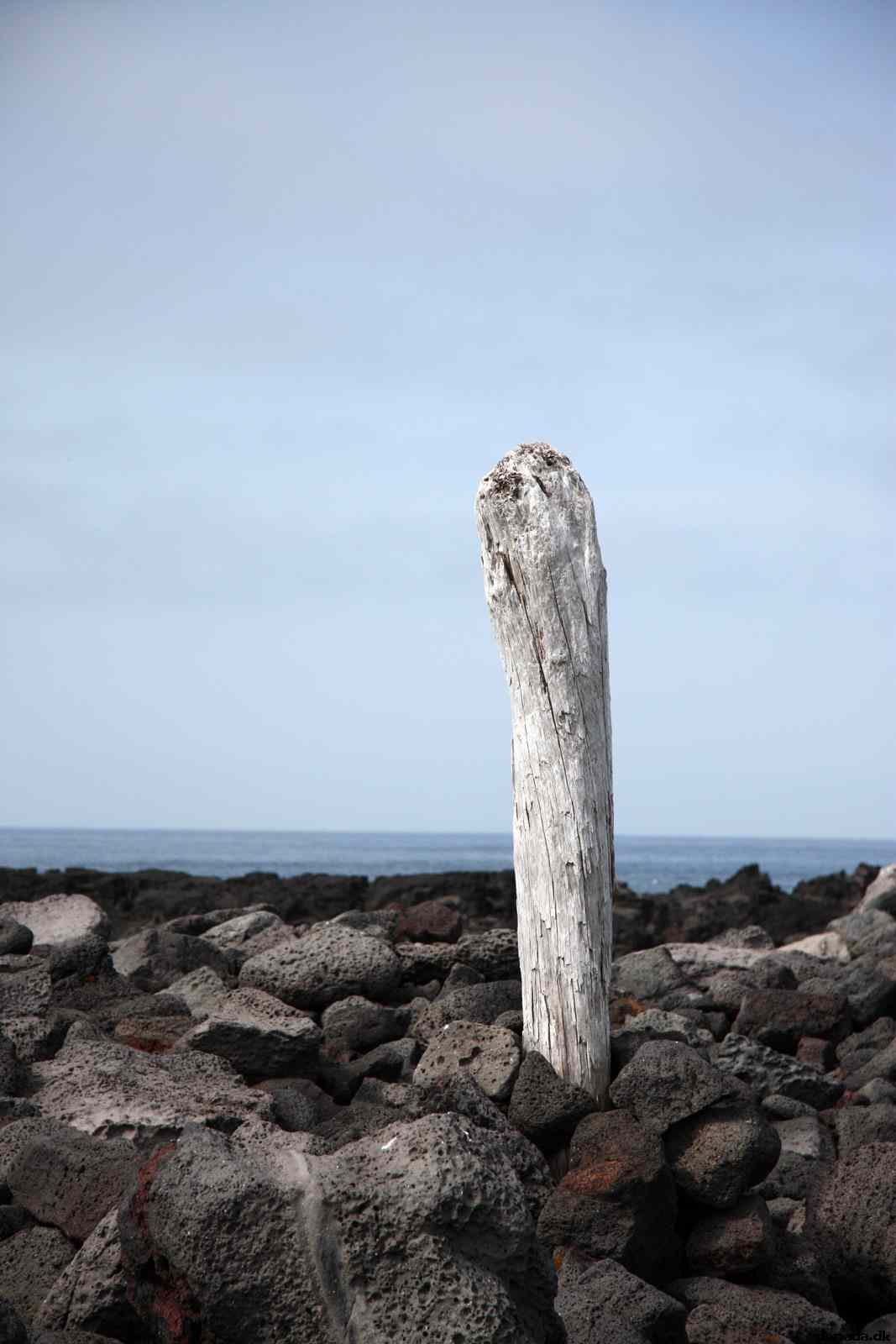 * Image 115