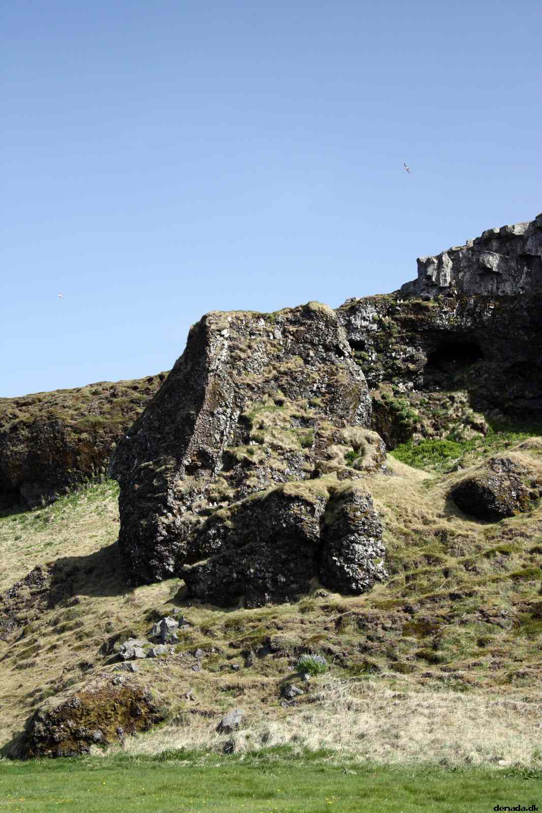 * Image 133