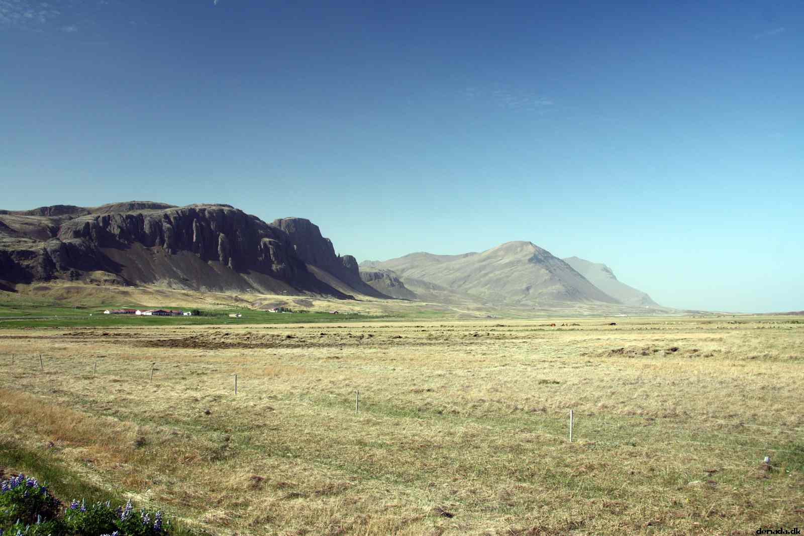 * Image 12