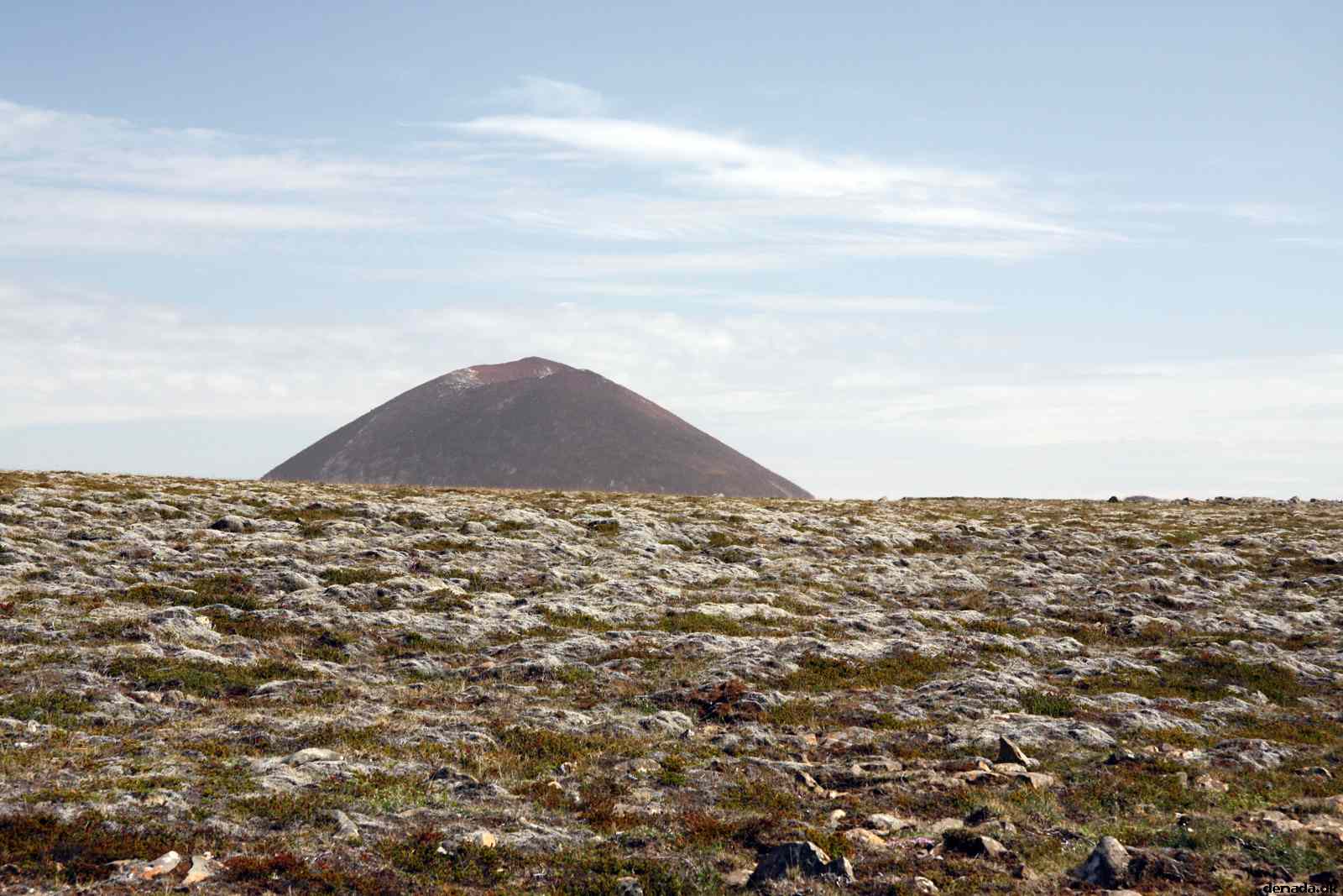 * Image 39