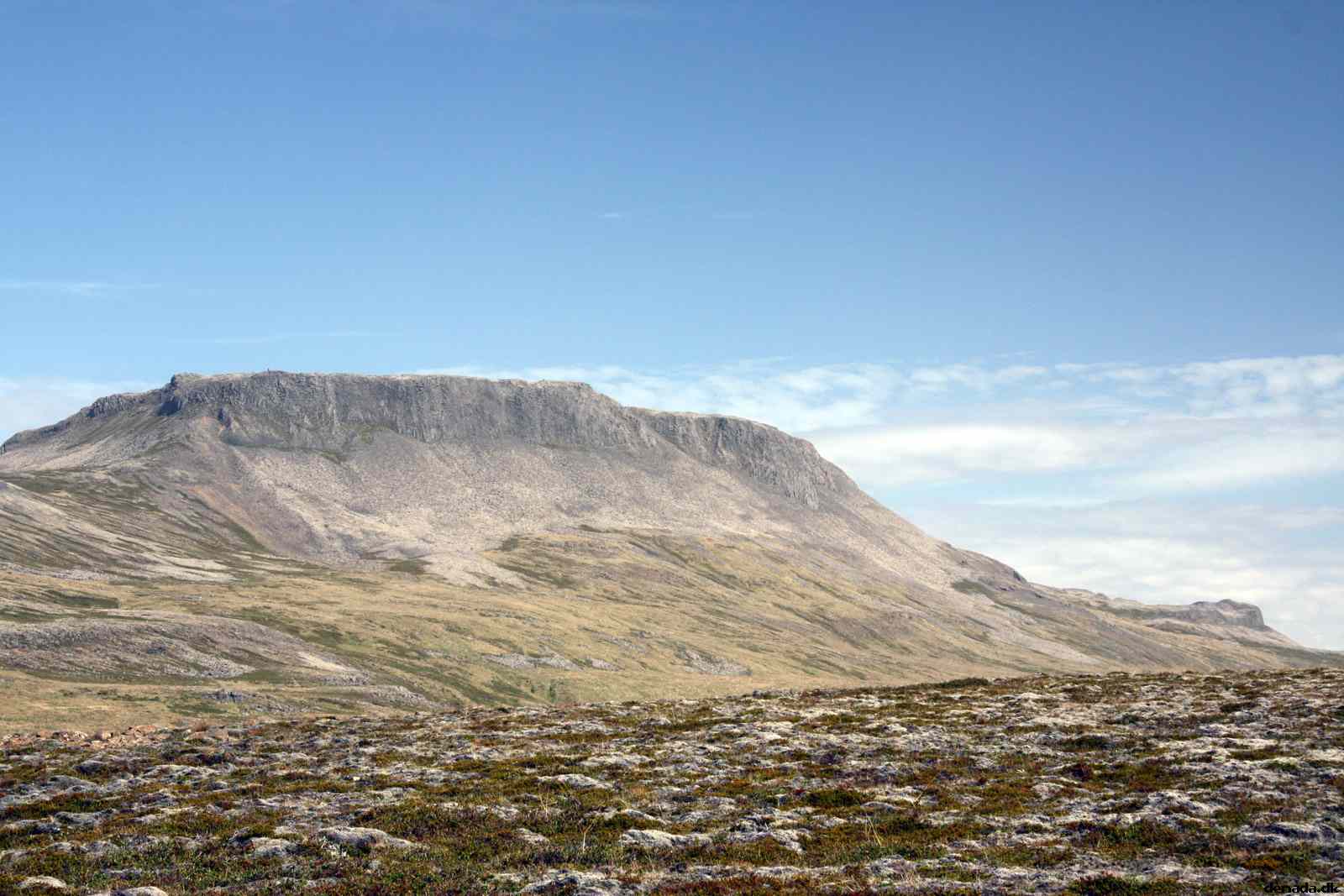 * Image 40