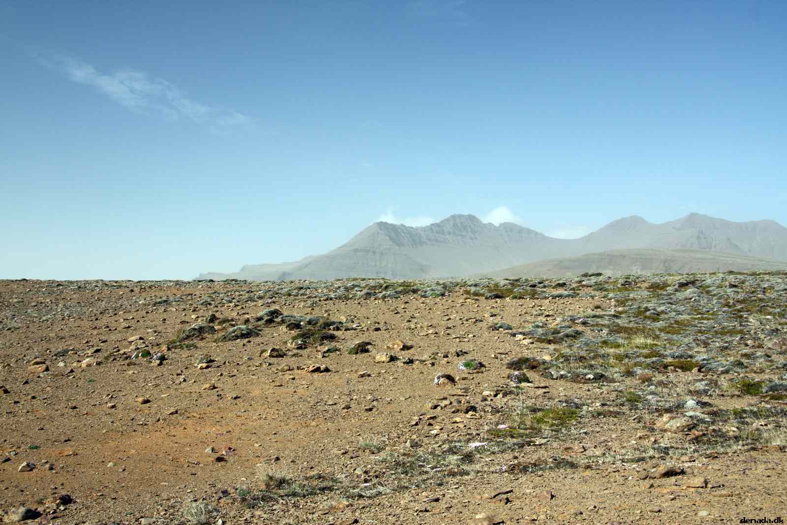 * Image 44