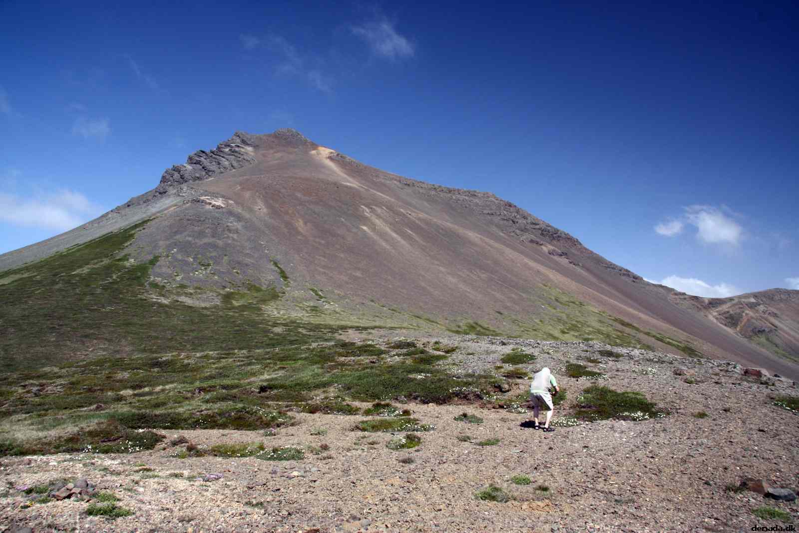 * Image 53