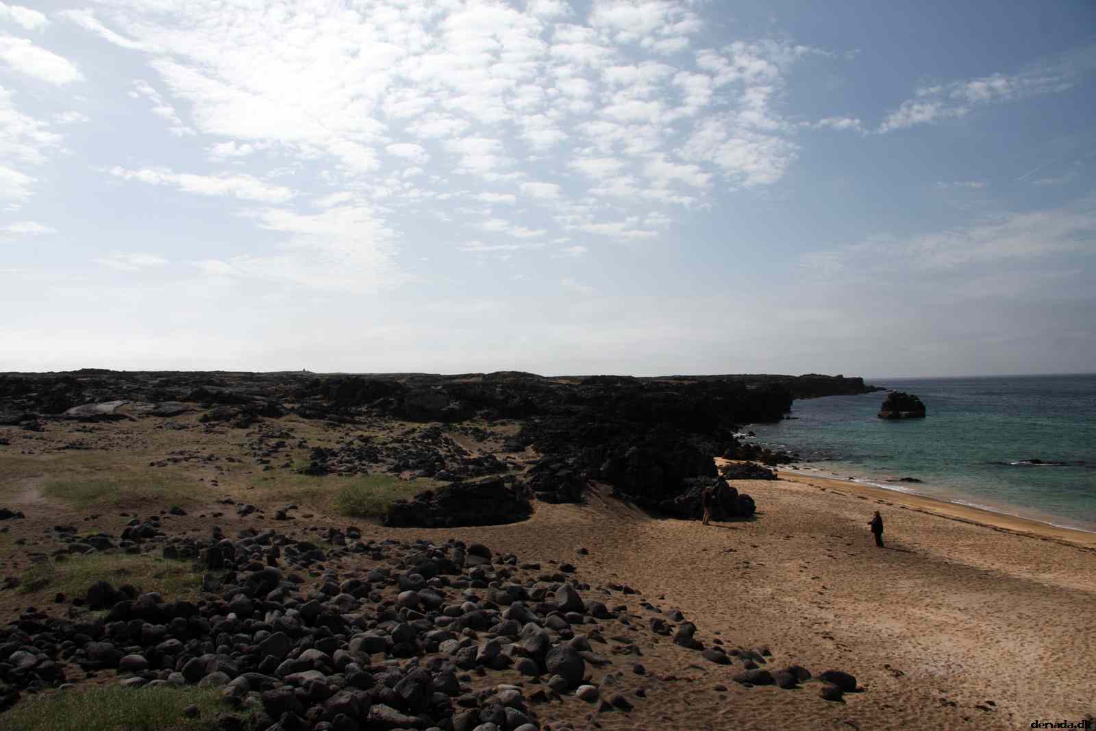 * Image 121