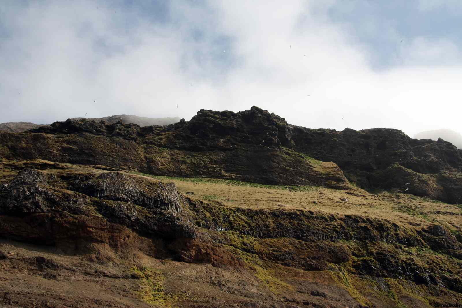 * Image 135