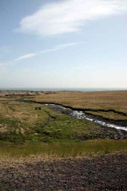 * Image 64