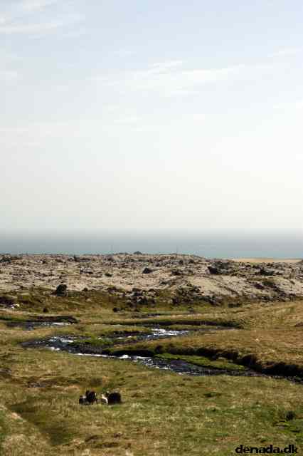 * Image 65