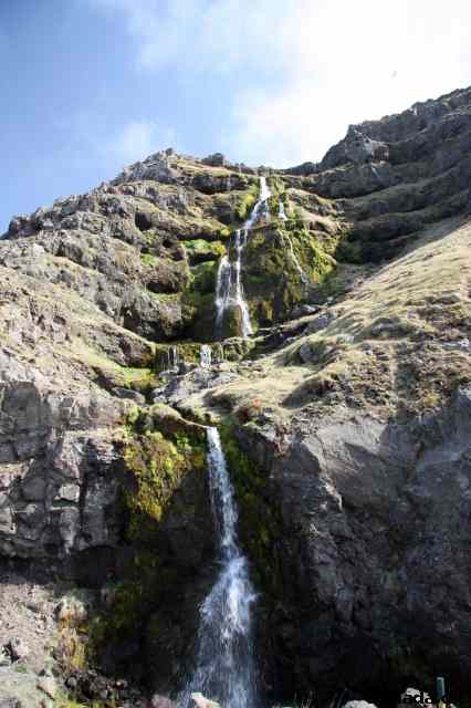 * Image 137