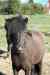 201006050287m.jpg - 2010:06:05 09:16:20