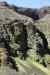 201006050365m.jpg - 2010:06:05 12:45:51