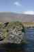 201006050385m.jpg - 2010:06:05 13:20:38