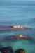 201006050390m.jpg - 2010:06:05 13:22:40