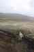 201006050431m.jpg - 2010:06:05 14:41:49