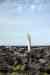 201006050446m.jpg - 2010:06:05 15:29:46