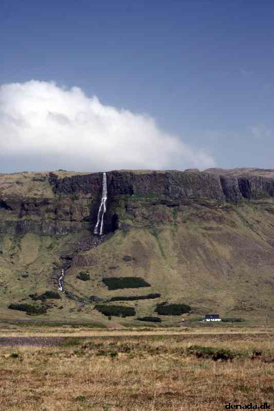 * Image 51