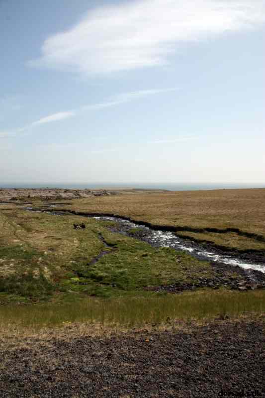 * Image 64