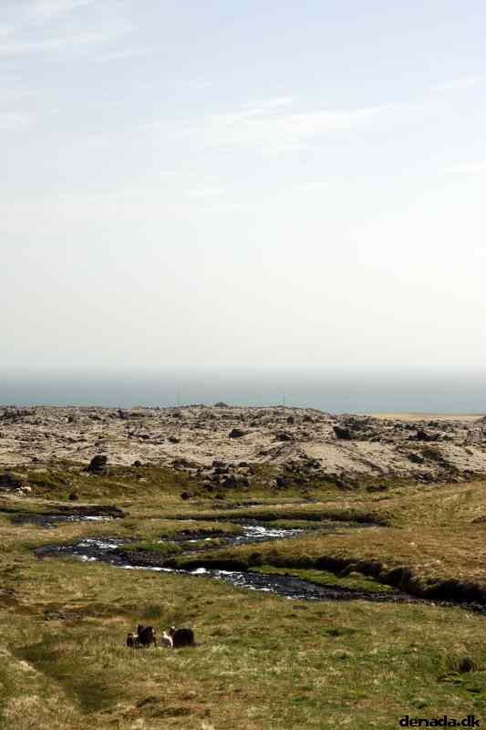 * Image 65