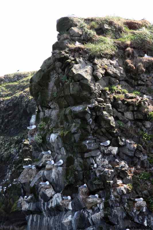 * Image 72