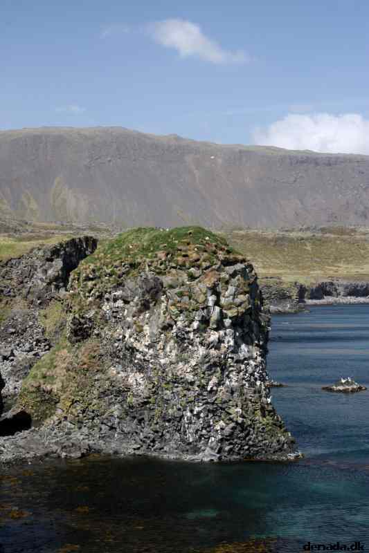 * Image 76