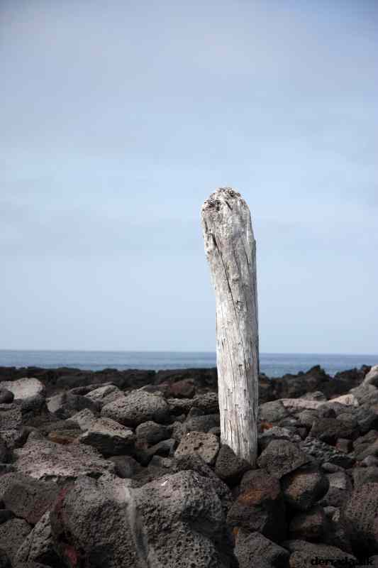 * Image 115