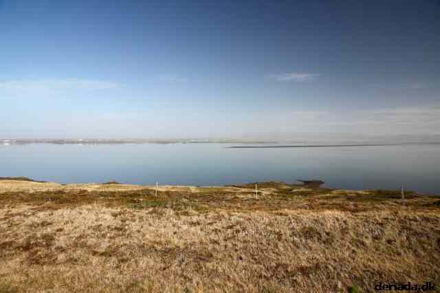 * Image 19