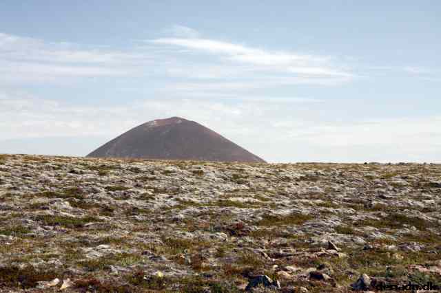 * Image 39