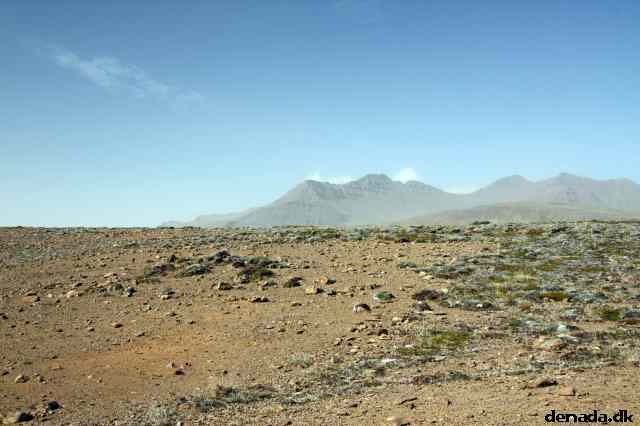 * Image 44