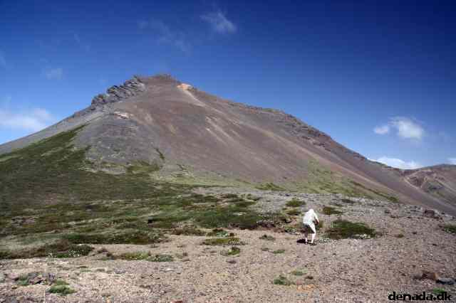 * Image 53