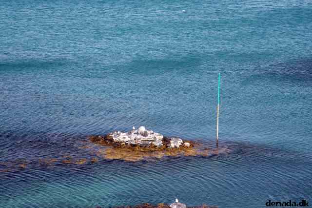 * Image 80
