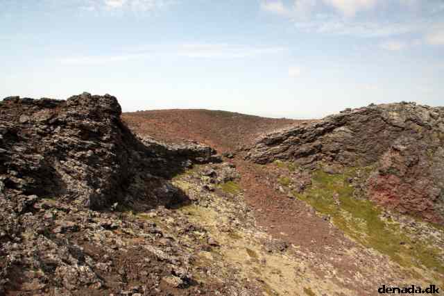 * Image 101