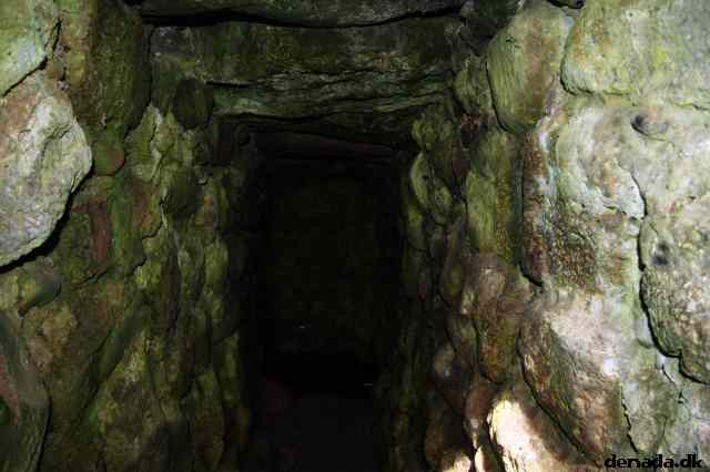 * Image 110