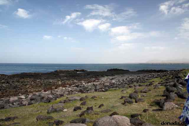 * Image 113
