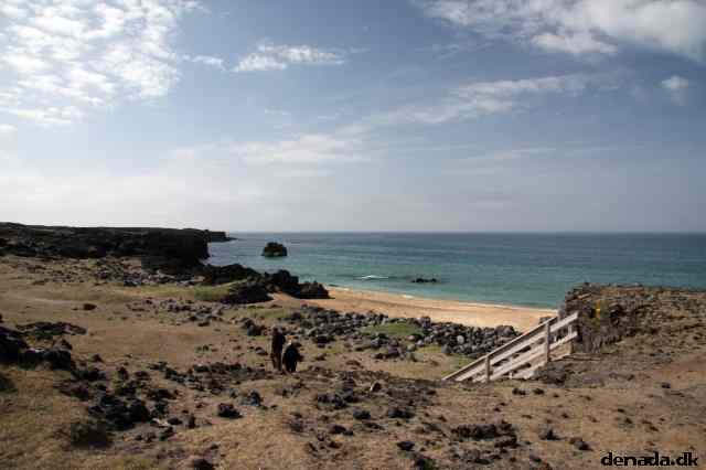 * Image 117