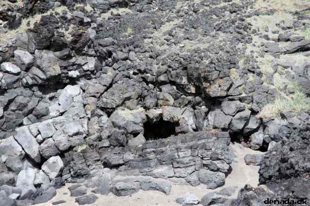 * Image 120