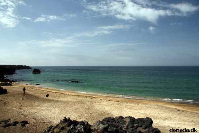 * Image 124
