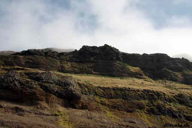 * Image 135