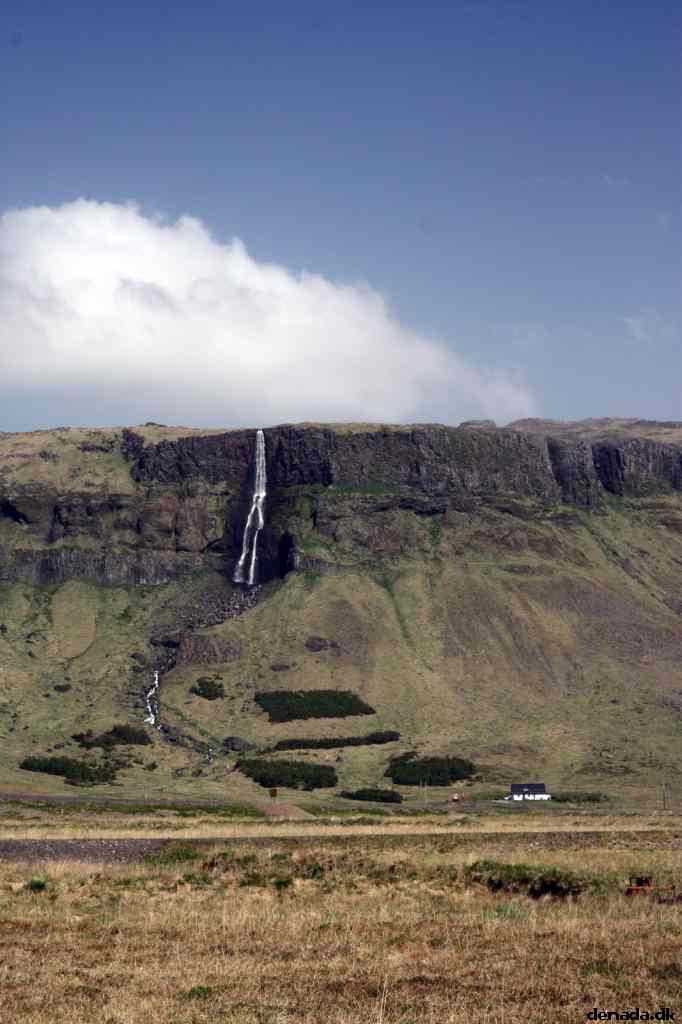 * Image 51