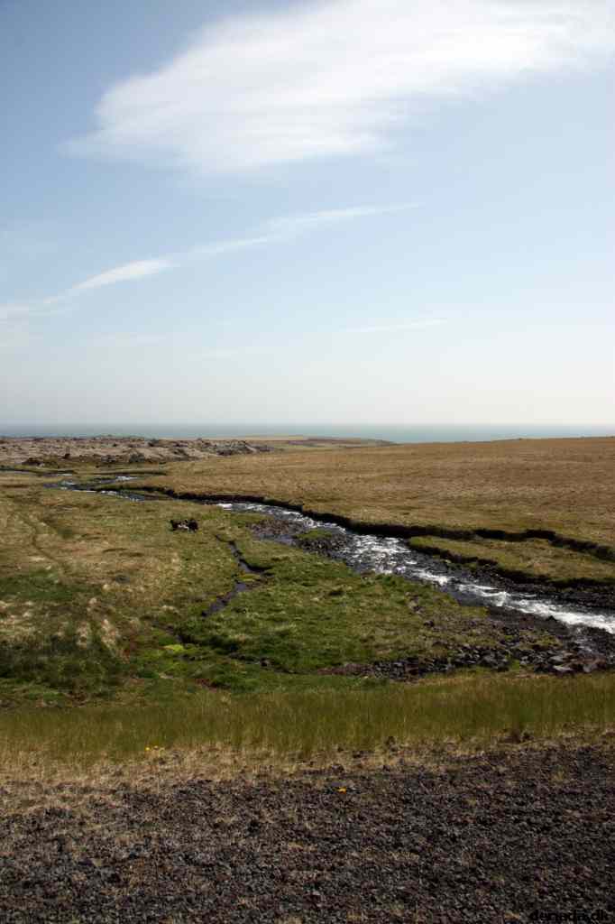 * Image 64