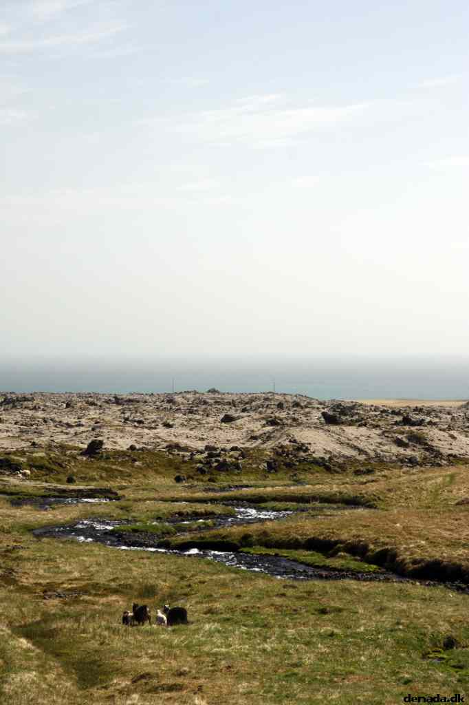 * Image 65