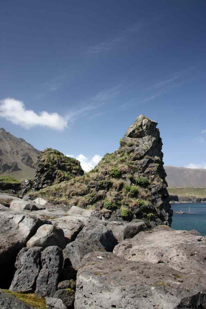 * Image 67