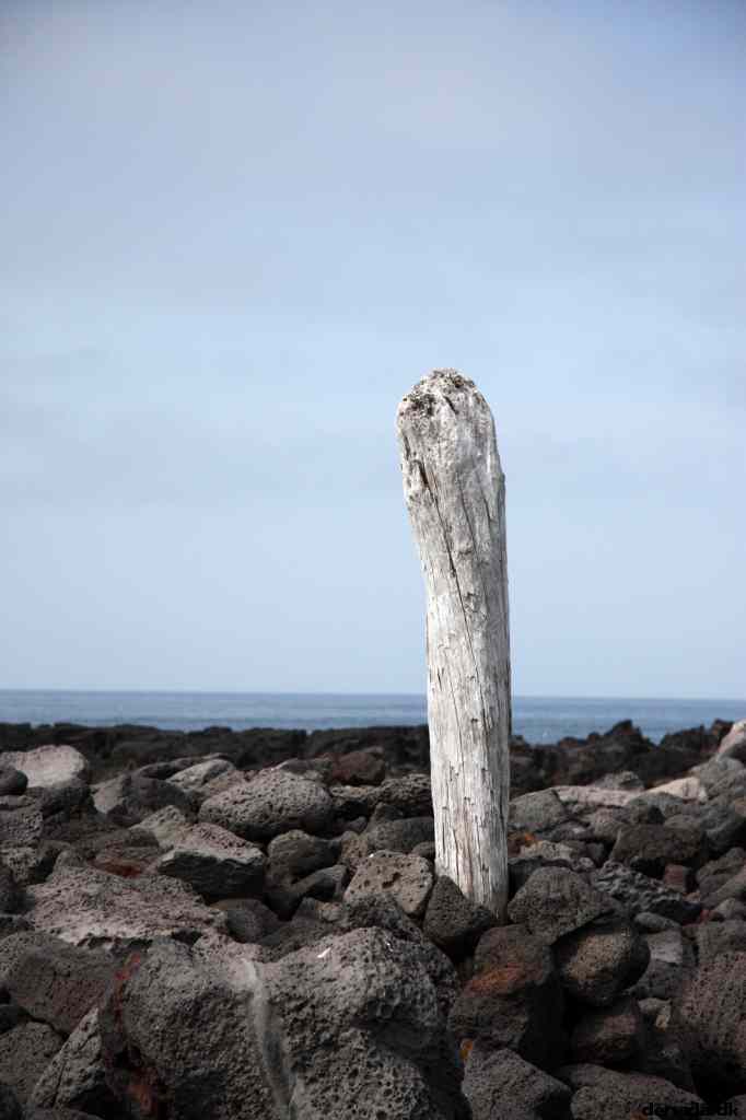 * Image 115