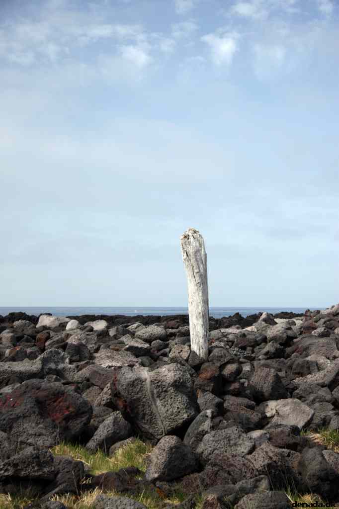 * Image 116