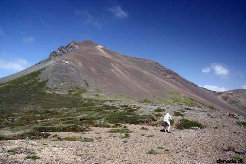 * Image 53