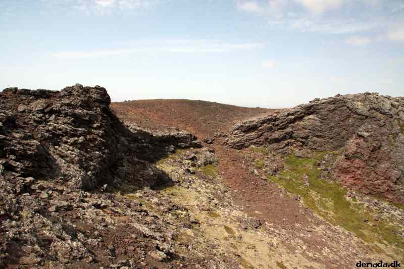 * Image 101