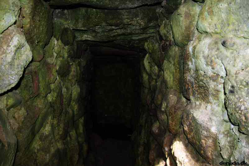 * Image 110
