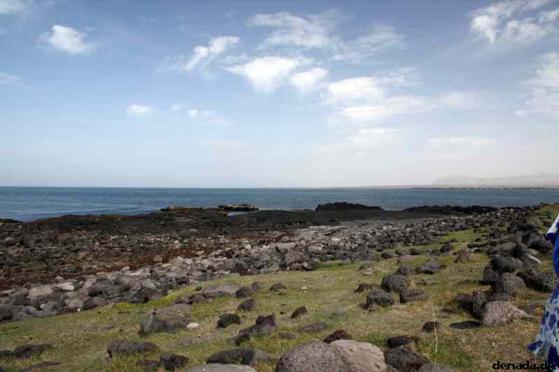 * Image 113
