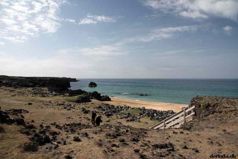 * Image 117
