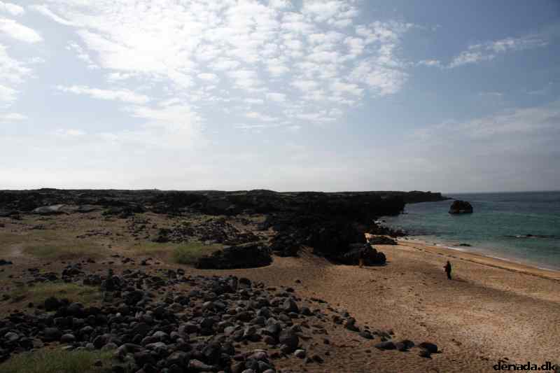 * Image 121
